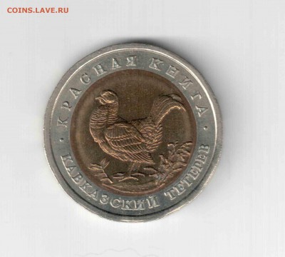 К.К. Кавказский тетерев. 93 год. - 133 (2)