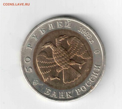 К.К. Кавказский тетерев. 93 год. - 133