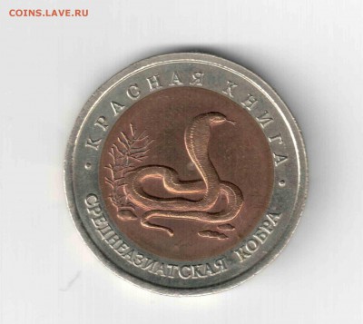 К.К. Среднеазиатская кобра. 92 год. - 130 (2)