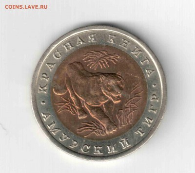 К.К. Амурский тигр. 92 год. - 131 (2)