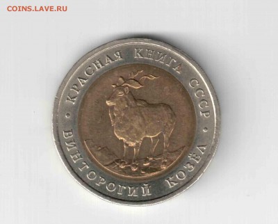 К.К. Винторогий козел. 91 год. - 128 (2)