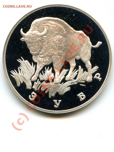 1 р., серебро, Зубр, 97 г., до 24.02.10 в 22.00 по МСК - 9.JPG