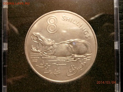 ГАМБИЯ 8 шиллингов 1970г.БЕГЕМОТ до.05.03 - P3040002.JPG