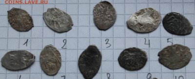 Помогите определить чешуйки по КГ - IMG_9827.JPG