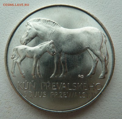 ЧССР 50 крон 1987 ДВЕ ЛОШАДИ до 09.03.14 22.00 МСК - P1190212.JPG