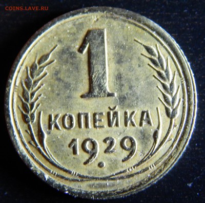 Советы оценка - DSCN1800.JPG