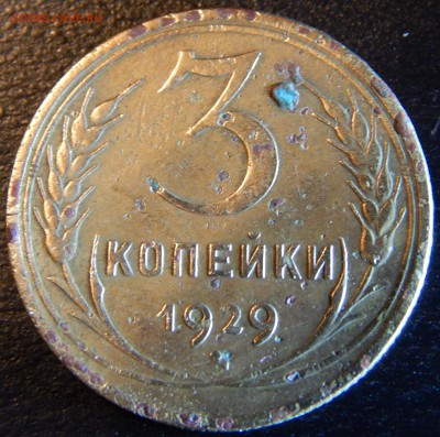 Советы оценка - DSCN1815.JPG