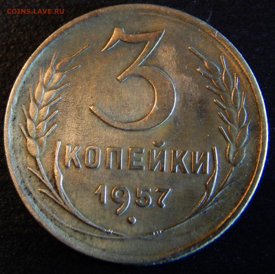 Советы оценка - DSCN1841.JPG