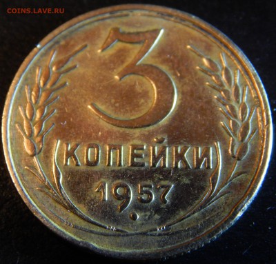 Советы оценка - DSCN1859.JPG