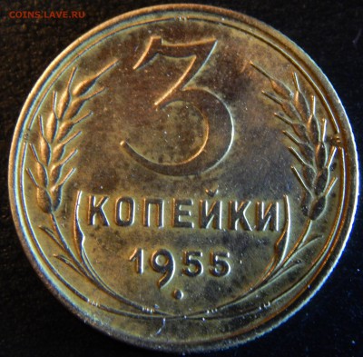 Советы оценка - DSCN1863.JPG