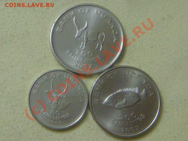 -v-Уганда 2007г.UNC(3шт.) UNC до 28.02(21.00 - 59DSC03780.JPG