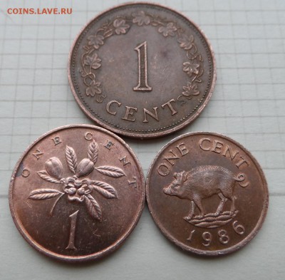 Мальта,Ямайка, Бермуды. - SAM_5170.JPG