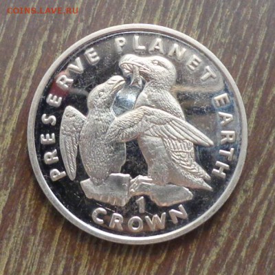 о.МЭН - Крона ГАГАРКА С ПТЕНЦОМ до 12.03, 22.00 - о.Мэн Гагарка