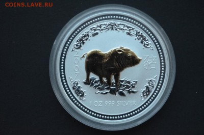 Австралийский Лунар Год свиньи 1 доллар 2007 с позолотой - DSC_0875.JPG