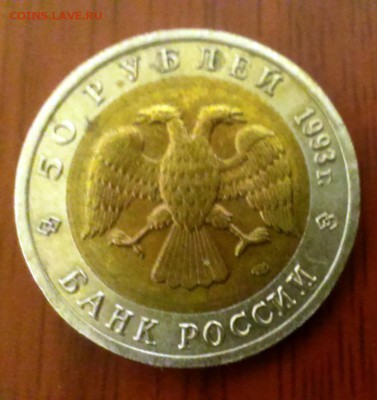 КК 93 Афалина. до 09.03.14 до 23-00 - IMAG0424