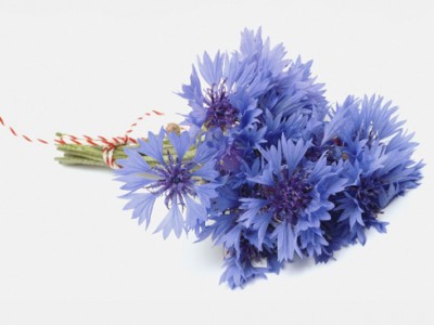 8 марта - Cornflower