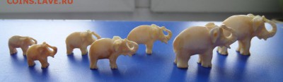 7 слонов из слоновой кости? - SAM_0173.JPG
