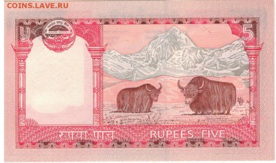 НЕПАЛ 5 РУПИЙ 2010 ДО 13.03.14 В 22.00МСК (7303) - 1-1неп5
