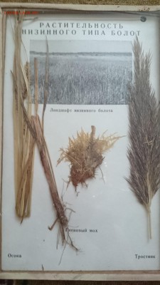 Наборы тканей, минералов и камней СССР - 4.JPG
