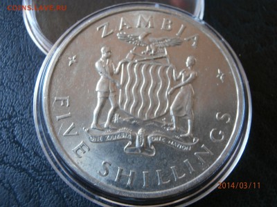 ЗАМБИЯ 5шиллингов КАУНДА 1965г. до 11.03 - P3110028.JPG