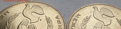 1 рубль Год мира. Раскол. 2 монеты. Оценка - IMG_0916.JPG