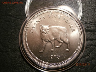 О.МЭН.крона КОШКА 1975г. до 12.03 - P3110061.JPG