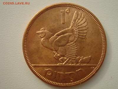 Ирландия: пенни 1966 UNC до 17.03.14, 22-00 - Ирландия пенни 1966-2.JPG