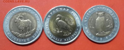 КРАСНАЯ КНИГА 91-92 ГОД .КОРОТКИЙ ! - 20140311_095418-1