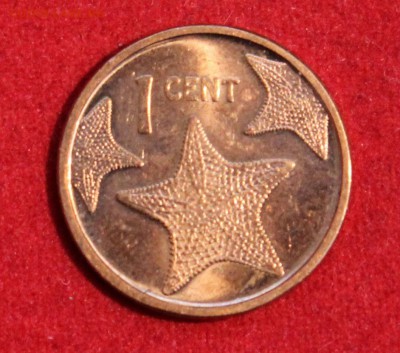 Конкурс «Veni Vedi Vici» - IMG_1003.JPG