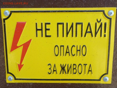 Ассоциация слов - P1020859.JPG