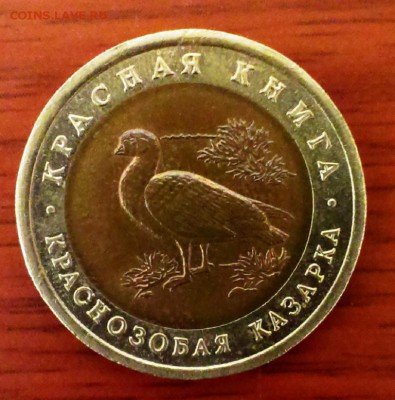 КК 1992 год. Краснозобая казарка. до 16.03.14 в 22-00 - IMAG0483