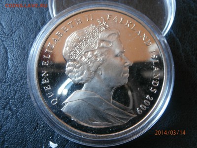 ФОЛКЛЕНДЫ крона Ч.ДАРВИН 2009г. до 15.03 - P3140001.JPG