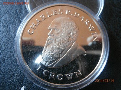 ФОЛКЛЕНДЫ крона Ч.ДАРВИН 2009г. до 15.03 - P3140002.JPG