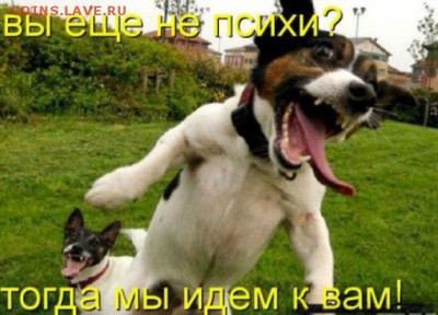 делает - прямо сейчас !!! - j-dVryGAaAc