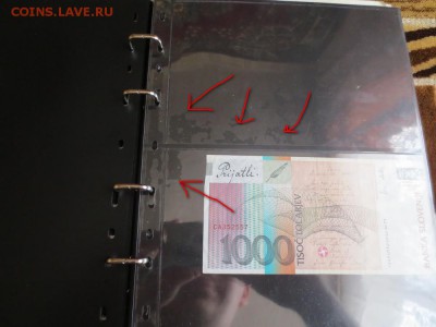 делает - прямо сейчас !!! - IMG_1925.JPG