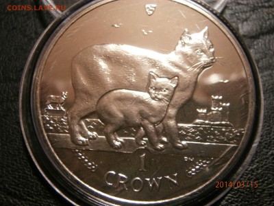 О.МЭН 2012г.крона КОШКИ.до 16.03. - P3150011.JPG