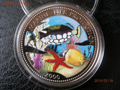 КОНГО 5 франков2000г.ПОДВОДНЫЙ МИР до 18.03 - P3160001.JPG