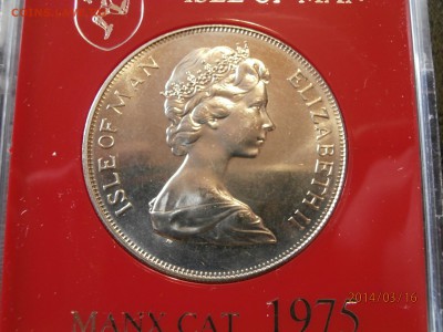 КОШКА О.МЭН 1975г.в боксе до 18.03 - P3160008.JPG