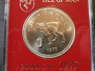 КОШКА О.МЭН 1975г.в боксе до 18.03 - P3160007.JPG