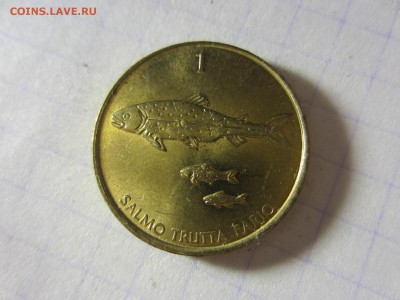Словения 1 толар 2001, до 21.03.2014 в 22.00 мск - IMG_9131