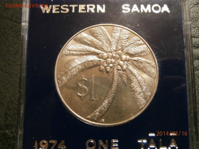 САМОА 1 тала 1974г.ПАЛЬМА до 17.03 - P3160011.JPG
