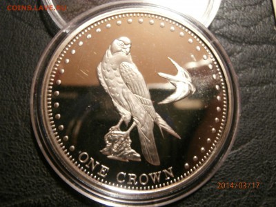 ТРИСТАН ДА КУНЬЯ 2009г.СОКОЛ до 18.03 - P3170013.JPG