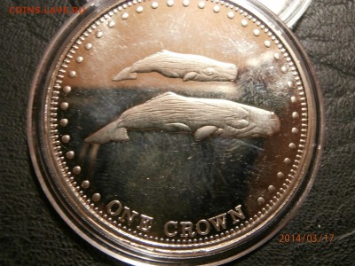 ТРИСТАН ДА КУНЬЯ 2009г.КИТЫ до 18.03 - P3170015.JPG