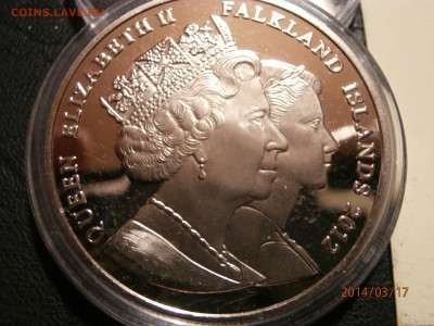 ФОЛКЛЕНДЫ. крона ЖИЗНЬ КОРОЛЕВЫ 2012г.№2 до 18.03 - P3170014.JPG