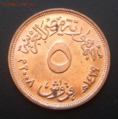 2 - Египет 5 пиастр (2008) Ваза Р
