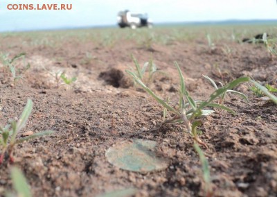 5 РУБЛЕЙ 1992 ГОДА . НЕПОНЯТНЫЙ ГУРТ . - kladoiskatel-32197-2013-06-21