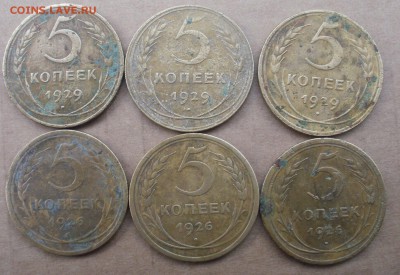 14 пятачков на определение по разновидностям - P3164251.JPG