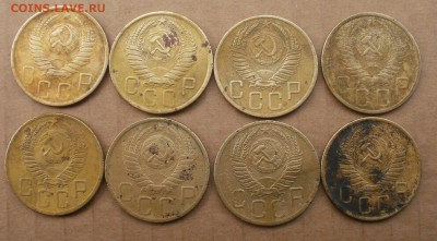 14 пятачков на определение по разновидностям - P3164254.JPG