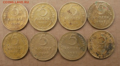 14 пятачков на определение по разновидностям - P3164253.JPG