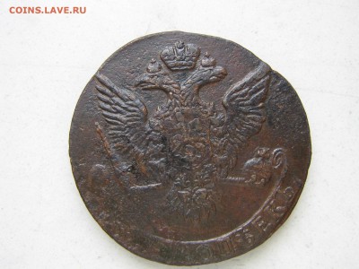 5к 1761 короткий - IMG_3244.JPG